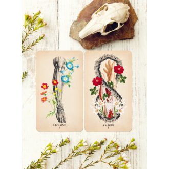 antik anatómia tarot pakli és útmutató könyv