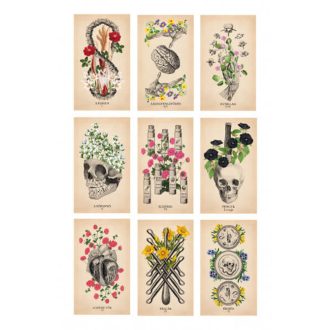 antik anatómia tarot pakli és útmutató könyv
