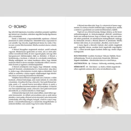 A képzelet ereje tarot - könyv és kártya dekordobozban