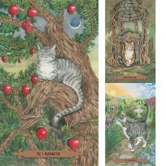 Misztikus macska tarot